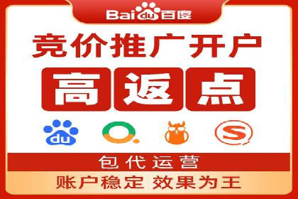 百度竞价推广案例：行业领军者成长故事